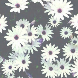 Meet your Posher, Tamara